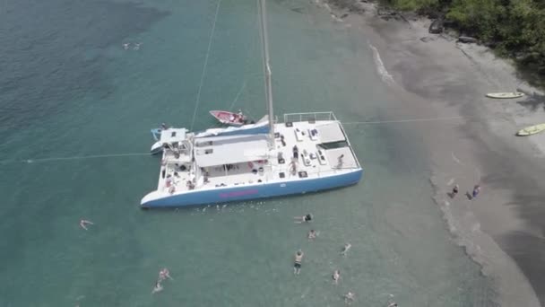 从空中观察圣卢西亚Marigot湾的Catamaran — 图库视频影像