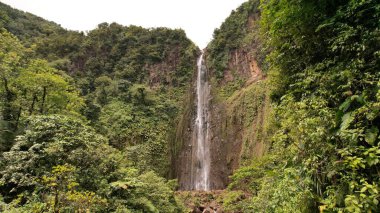 Guadeloupe panoramik manzaralı Carbet Şelalesi