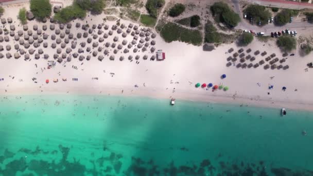 Turistas Bañándose Disfrutando Playa Aruba Vista Desde Cielo — Vídeos de Stock