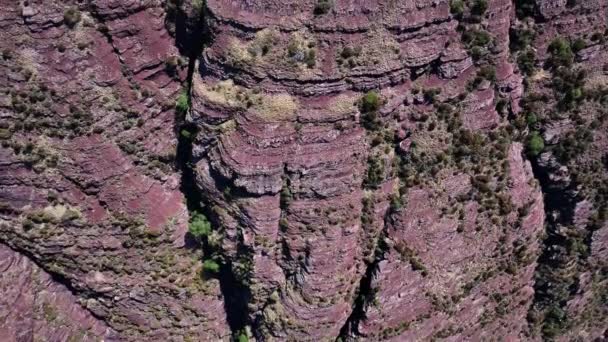 シアンの赤い峡谷の上空からの眺め — ストック動画