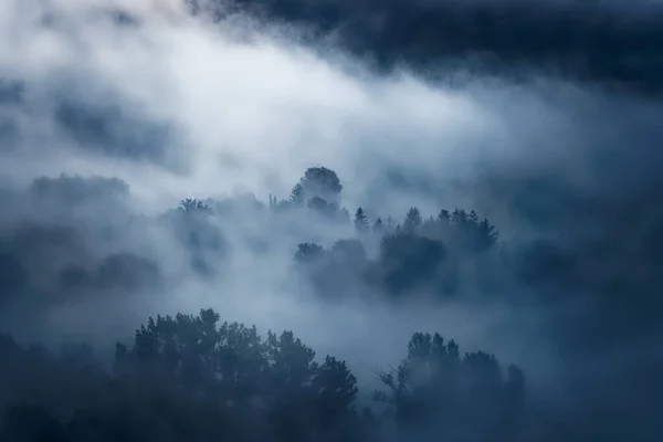 多顿山谷薄雾中的一片绿林的空中景象 — 图库照片