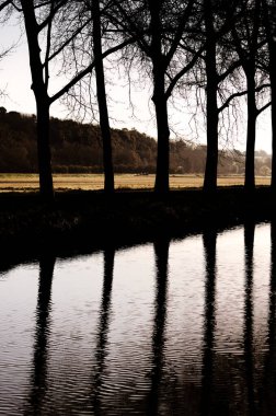 Dordogne 'daki Lalinde nehri boyunca ağaçlar boyunca