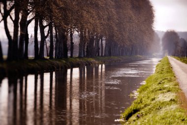 Dordogne, Lalinde 'de nehir boyunca ağaçlar.