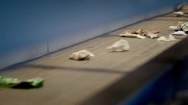 Bir taşıma bandında sıralanmış plastik ve kağıt atıklarının hızlandırılmış videosu
