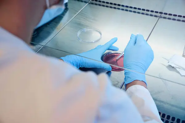 Bir kimyager pembe bir kozmetik ürünü test ediyor.