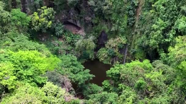 レユニオン島の空中ビューのヴィタル盆地の滝 — ストック動画