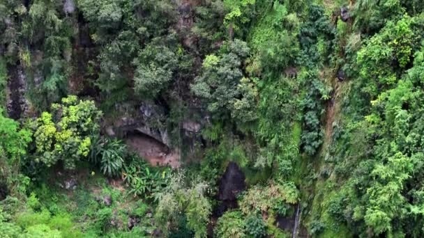 留尼旺岛天景下的重要流域瀑布 — 图库视频影像