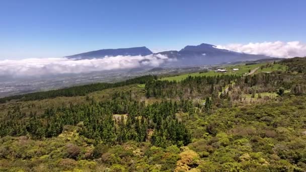 Runt Staden Tampon Reunion Island Drönare Utsikt — Stockvideo