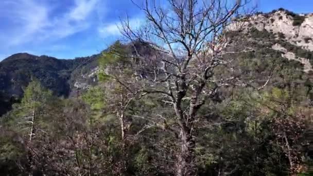 ドローンから撮影されたグランジス ブラスキー ハイキング トレイル — ストック動画