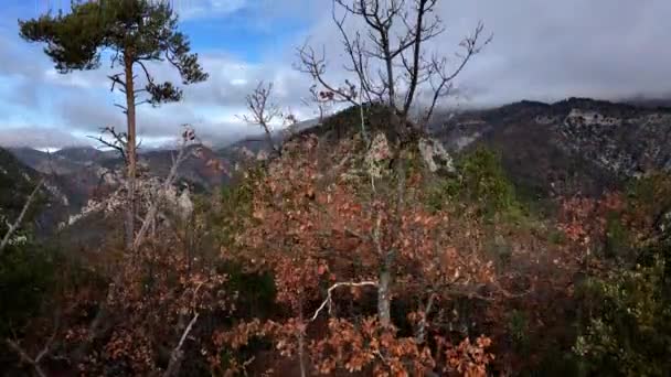 アルプスのグランジス ブラスキー ハイキング トレイルの空中ビュー — ストック動画