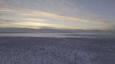 Urho Kekkonen Parkı 'ndaki ufkun panoramik hava görüntüsü