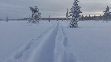 Urho Kekkonen Parkı insansız hava aracı görüntüsünde yürüyen yürüyüşçüler