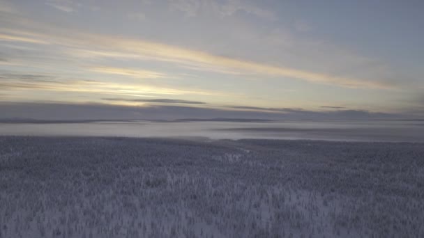 Panoramautsikt Över Horisonten Parken Urho Kekkonen — Stockvideo