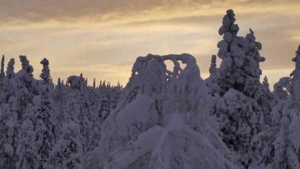 Urho Kekkonen Parkı Ndaki Toundra Nın Panoramik Drone Görüntüsü — Stok video