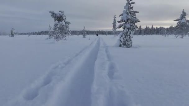 Senderistas Caminando Parque Urho Kekkonen Vista Dron — Vídeos de Stock