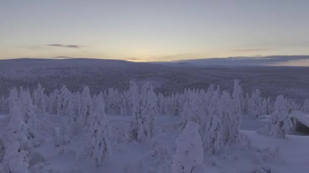 Urho Kekkonen Parkı Ndaki Toundra Nın Panoramik Hava Görüntüsü — Stok video