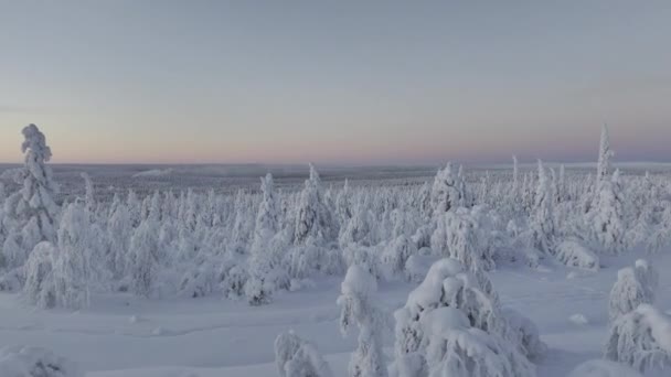 Vista Panorámica Del Dron Cerca Saariselka Finlandia — Vídeos de Stock