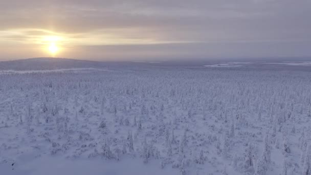 フィンランドのウルホ コネン公園のタンドラの空中観察 — ストック動画