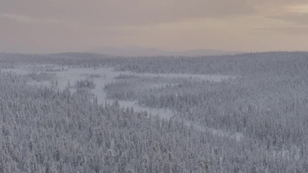 Vista Aérea Toundra Parque Urho Kekkonen Finlandia — Vídeos de Stock