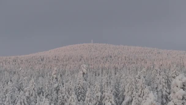 Vista Aérea Toundra Parque Urho Kekkonen Laponia — Vídeos de Stock