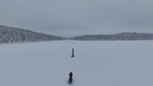 Caminhantes Trenó Neve Puxados Por Huskies Visão Rastreada Por Drones — Vídeo de Stock
