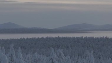 Finlandiya 'daki Urho Kekkonen Parkı' ndaki tundranın yukarıdaki görüntüsü