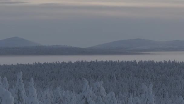 Vista Aérea Tundra Parque Urho Kekkonen Finlandia — Vídeos de Stock