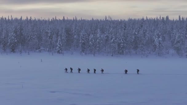 Vista Grupo Excursionistas Caminando Parque Urho Kekkonen — Vídeos de Stock