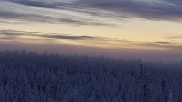 芬兰Urho Kekkonen公园雾蒙蒙的冻土带的空中景观 — 图库视频影像