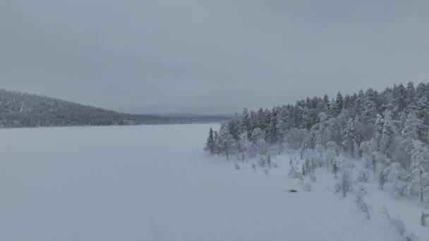 Снежные Сани Туристы Беспилотник Вид Toundra Финской Лапландии — стоковое видео
