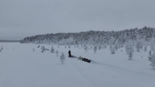 Sanie Śnieżne Turyści Drone Śledzone Widok Finnish Laponii — Wideo stockowe