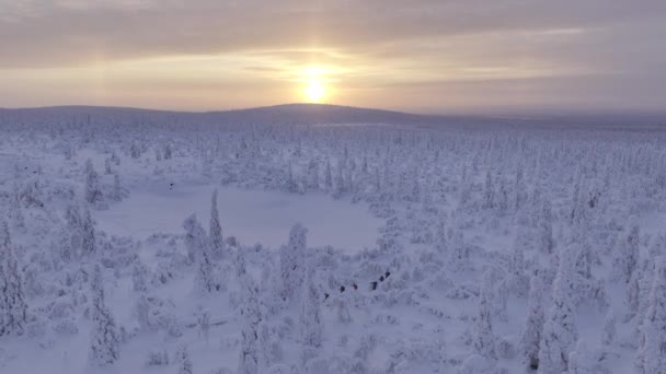 Vista Panorámica Del Dron Los Excursionistas Esquí Fondo Laponia Finlandesa — Vídeos de Stock