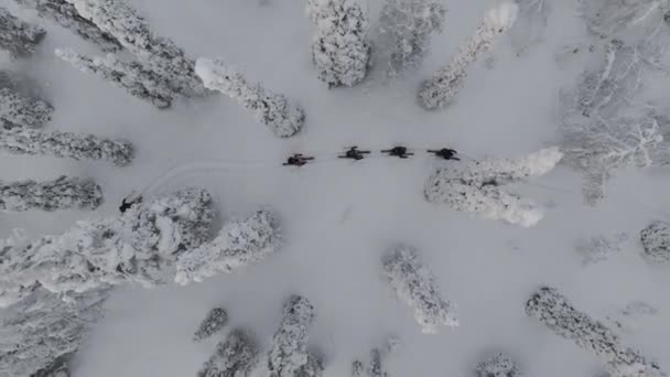 Från Ovan Över Vandrare Längdskidåkning Finska Lappland — Stockvideo