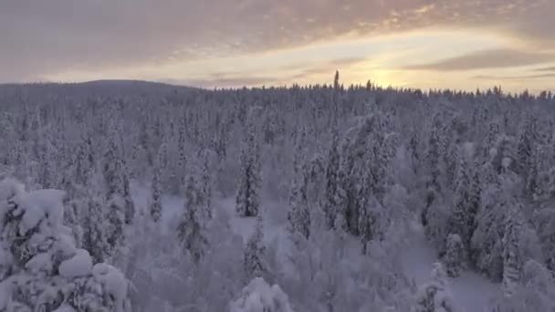 Toundra Finlandés Parque Urho Kekkonen Vista Panorámica Del Dron — Vídeos de Stock