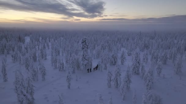 Vista Del Cielo Los Excursionistas Esquí Fondo Laponia Finlandesa — Vídeos de Stock