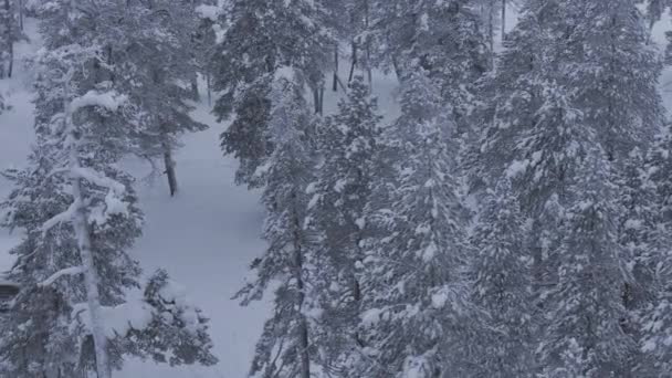 Drone Vista Pequeño Chalet Corazón Laponia Finlandesa — Vídeo de stock