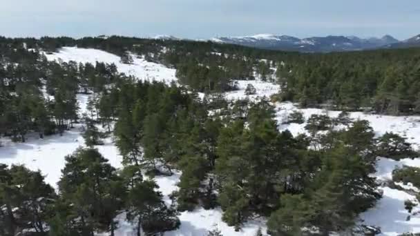 Uitzicht Vanuit Lucht Boven Het Skigebied Greolieres Les Neiges — Stockvideo