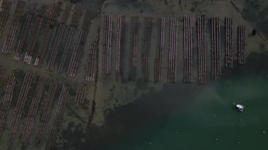 Morbihan 'daki Larmor-Baden' deki istiridye çiftliklerinin gökyüzü manzarası.