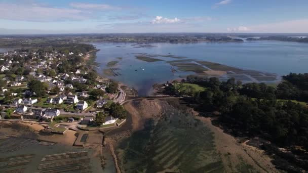 Vue Par Drone Des Fermes Ostréicoles Larmor Baden Dans Morbihan — Video