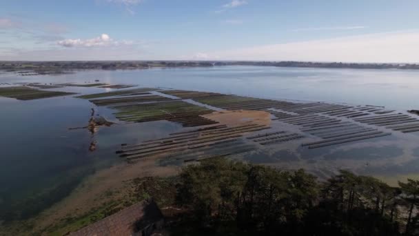 Panorama Luftaufnahme Von Austernfarmen Berder Island Morbihan — Stockvideo