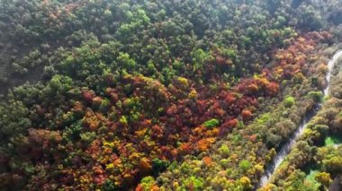 Provence 'deki Col de Vence' in bulutlardaki insansız hava aracının görüntüsü
