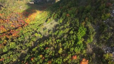 Fransa 'nın Col de Vence bölgesindeki sonbahar ormanlarının en iyi insansız hava aracı görüntüsü.