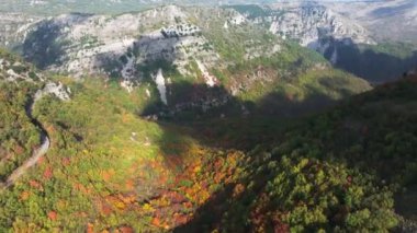 Fransa 'daki Col de Vence' de sonbahar ormanlarının hava görüntüleri.