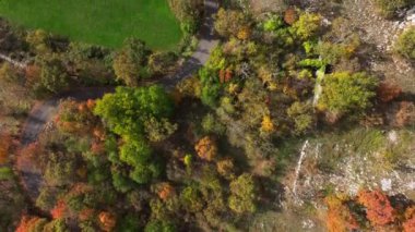 Fransa 'daki Col de Vence' de gökyüzünden sonbahar orman manzarası