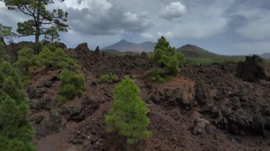 Teide volkanı yakınlarındaki lav kayalarının insansız hava aracı videosu