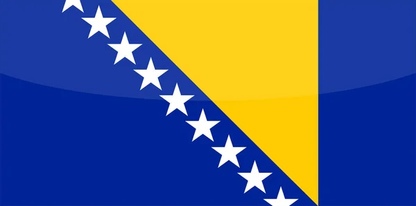 Bosnia Erzegovina Bandiera Nazionale — Vettoriale Stock