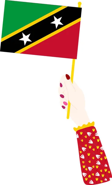 Národní Vlajka Kitkitts Nevis — Stockový vektor