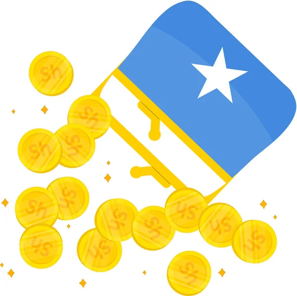 Somali bayrağı çekildi, Somalili şilin el çizildi