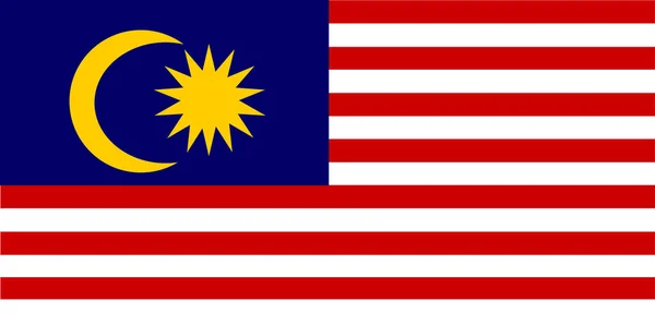 Bandera Malaya Dibujada Mano Ringgit Malayo Dibujado Mano — Vector de stock