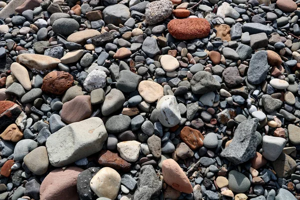 Vista Perto Seixos Pedras Uma Praia Seixos Costeira — Fotografia de Stock